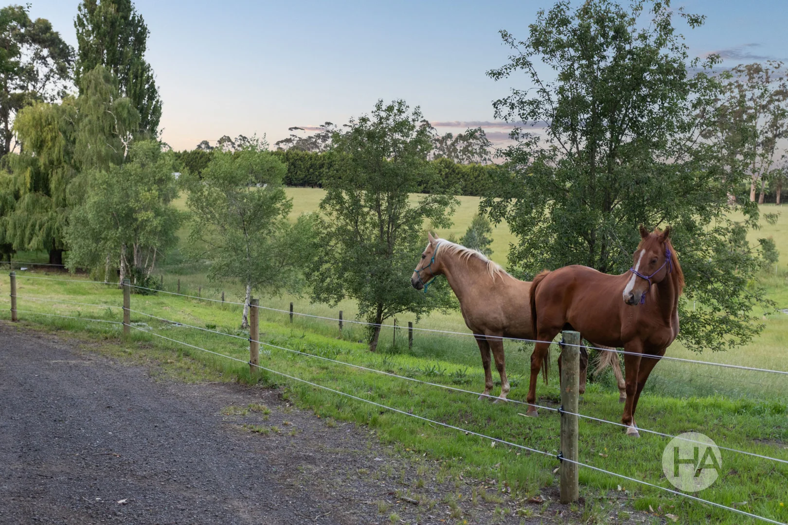 Additional image 22 of 55 McDougal Road, Neerim South VIC 3831