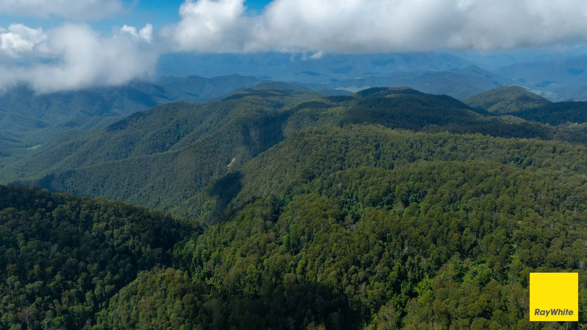 Additional image 16 of Lower Creek NSW 2440