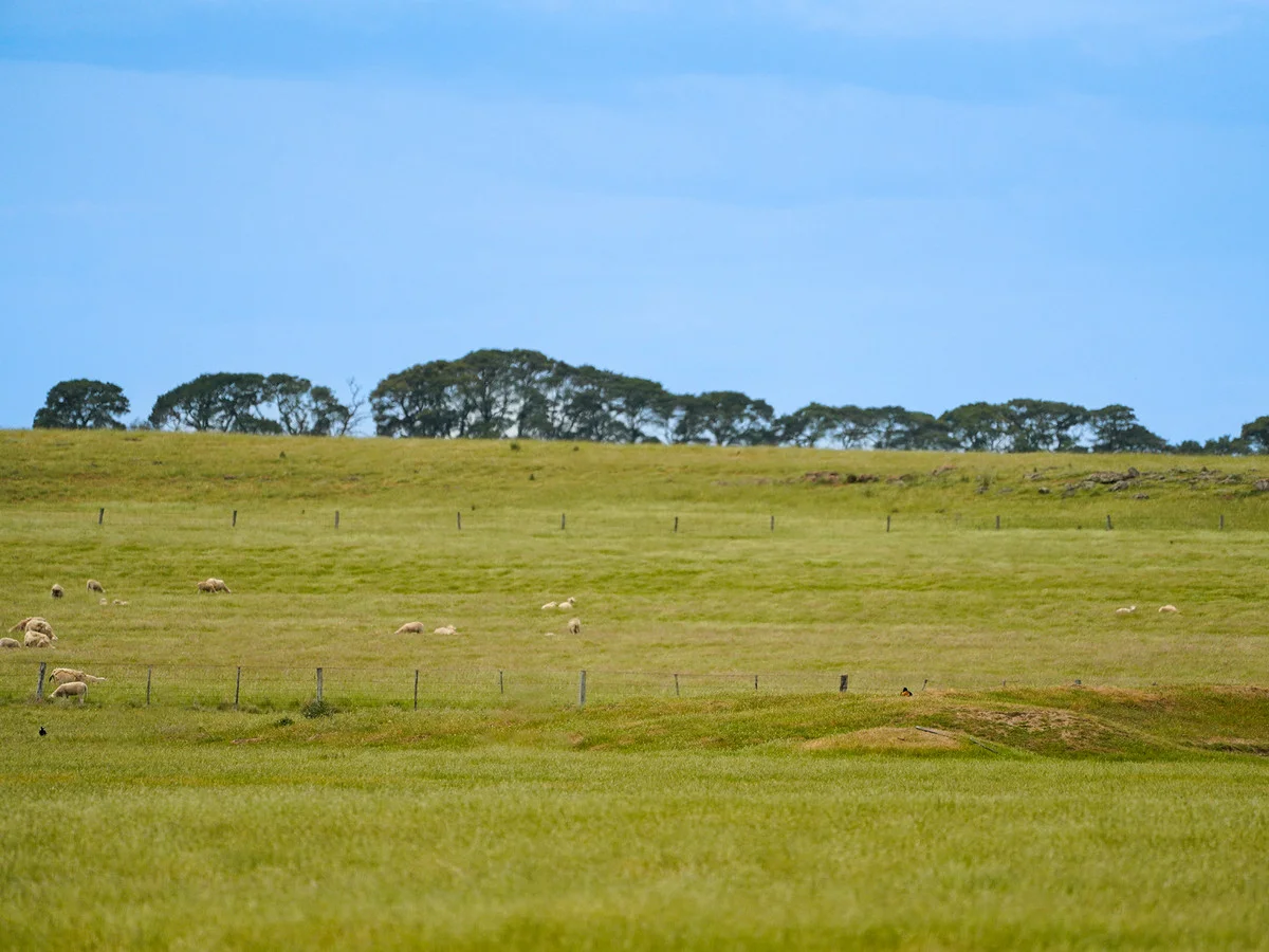 Additional image 4 of Huf's Back Lane, Warrayure VIC 3301