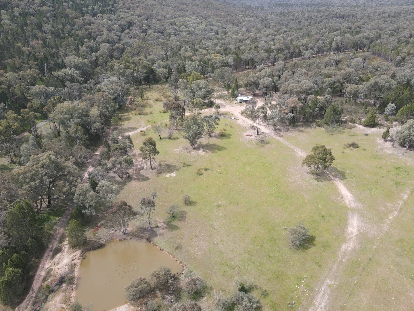 Additional image 26 of 1657 Kangarooby Road, Gooloogong NSW 2805