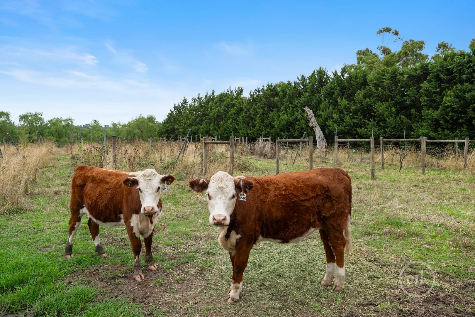 Additional image 14 of 10 Watts Road, Yan Yean VIC 3755