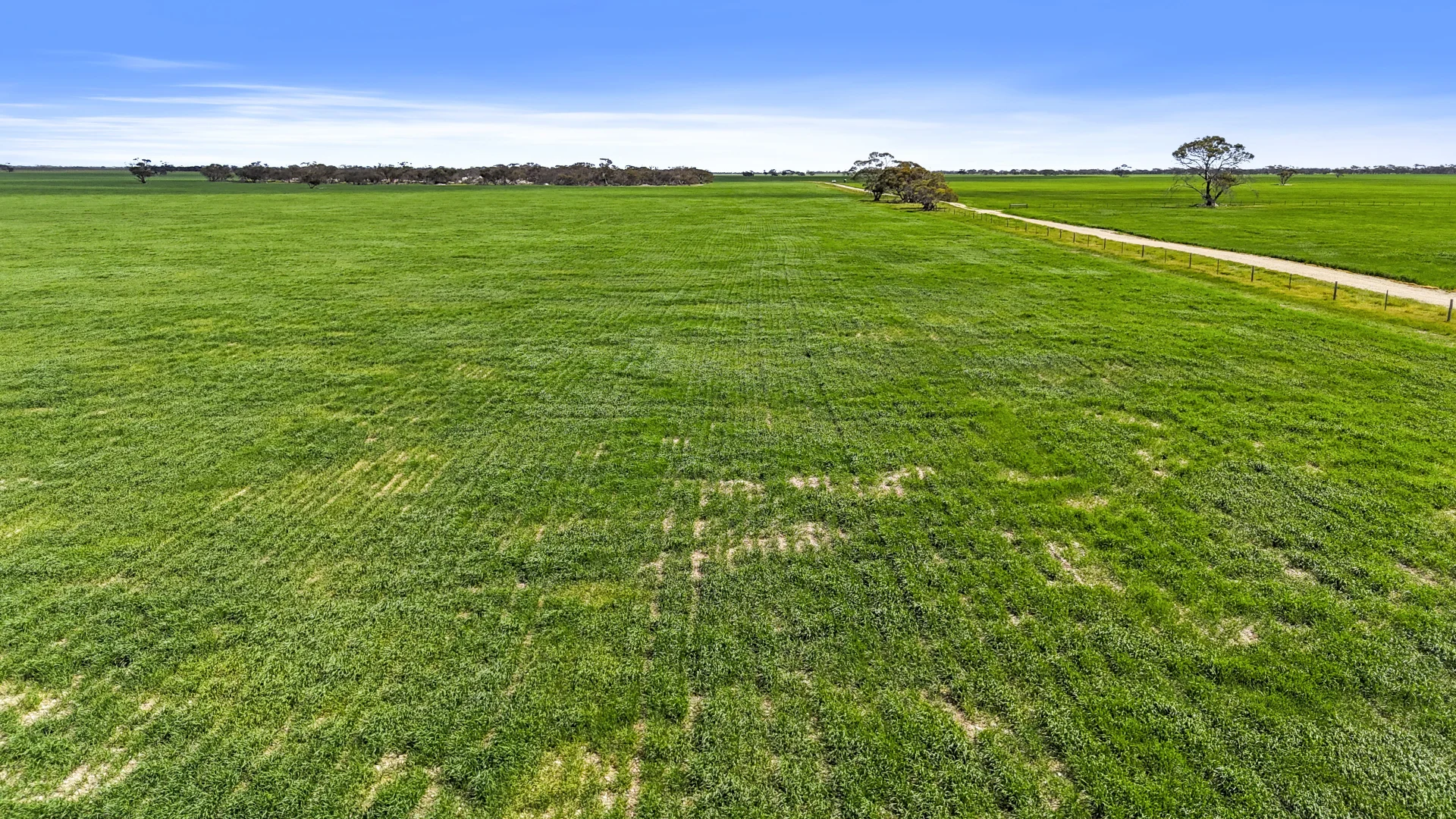 Additional image 30 of 378 Jones Road, Yumali SA 5261