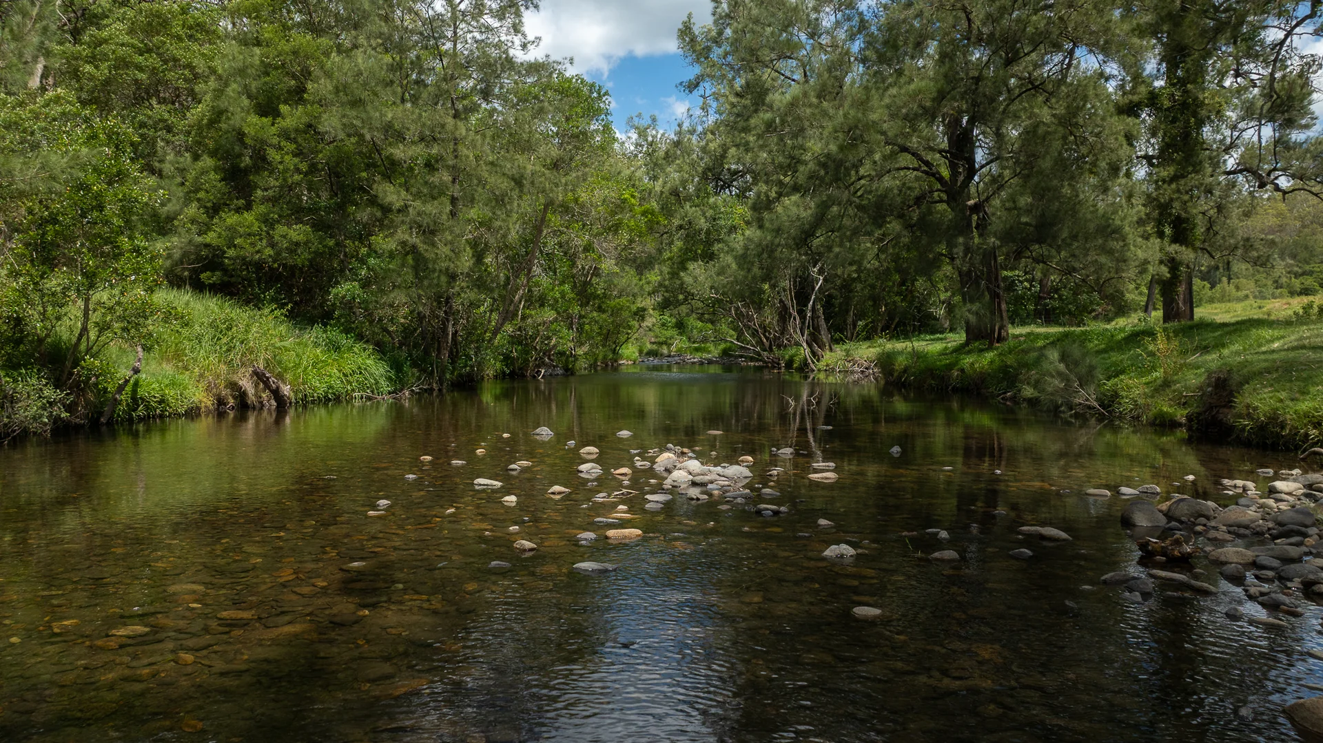 Additional image 29 of 2956 Carnham Road, Coombadjha NSW 2460