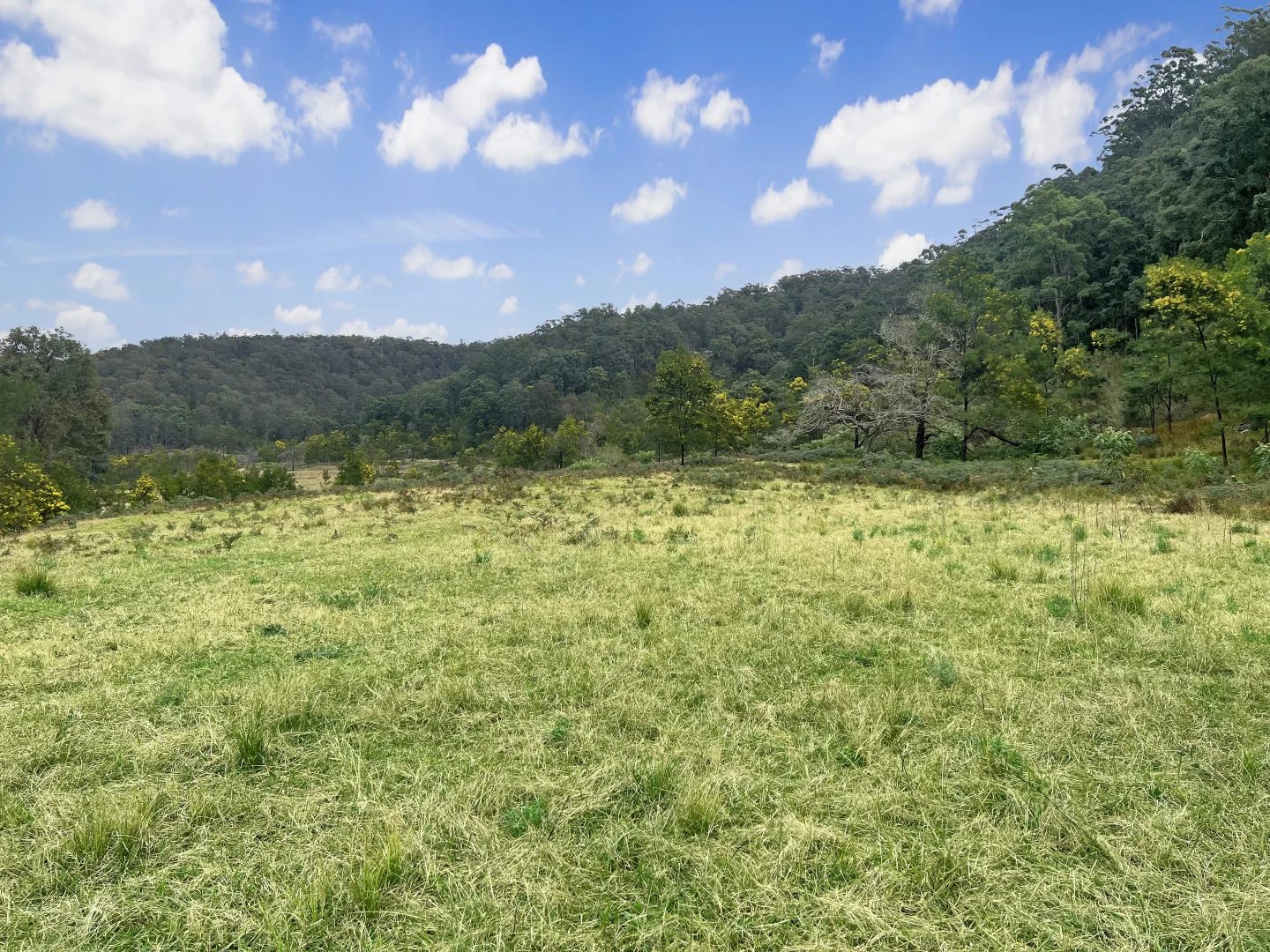 Additional image 13 of Parcel A Hitcham Park Dairy Arm Road, Laguna NSW 2325