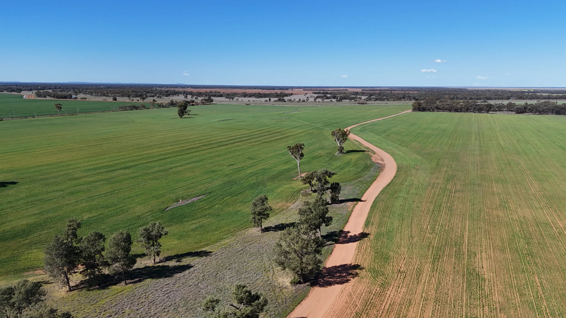 Additional image 9 of Farm 25/1354 Main Canal Road, Coleambally NSW 2707