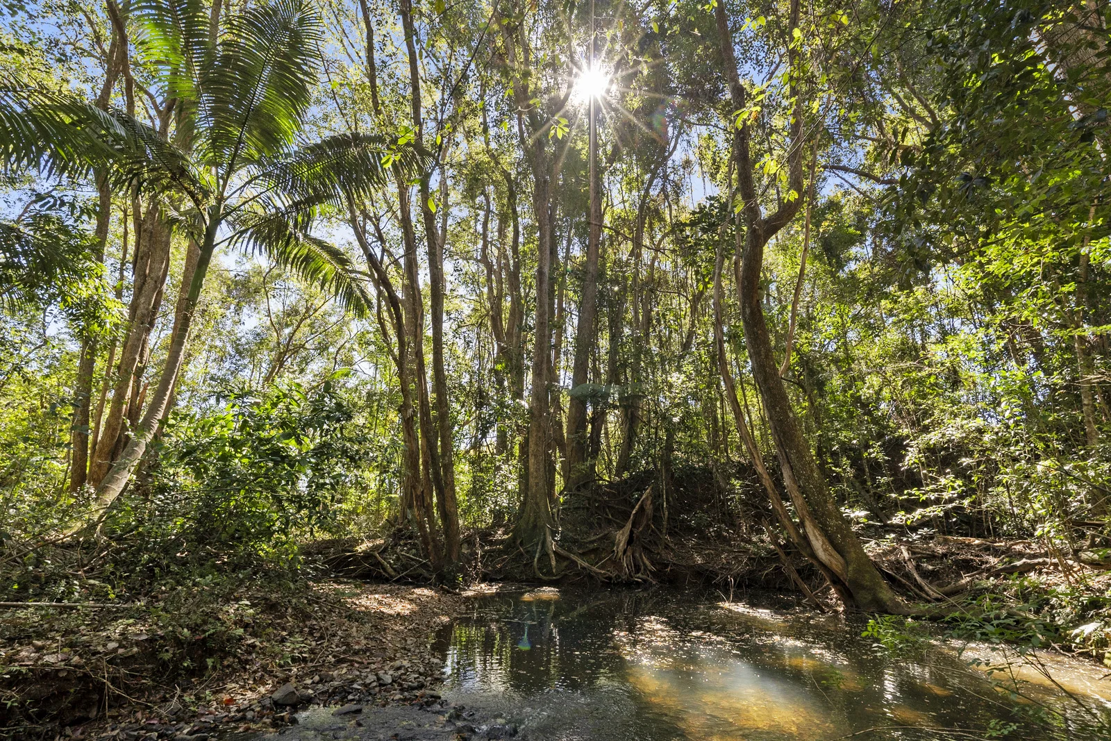 Additional image 6 of Crystal Creek NSW 2484