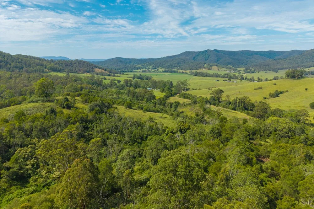 Additional image 5 of Lots 171 & 172 Calara Lane, Hollisdale NSW 2446