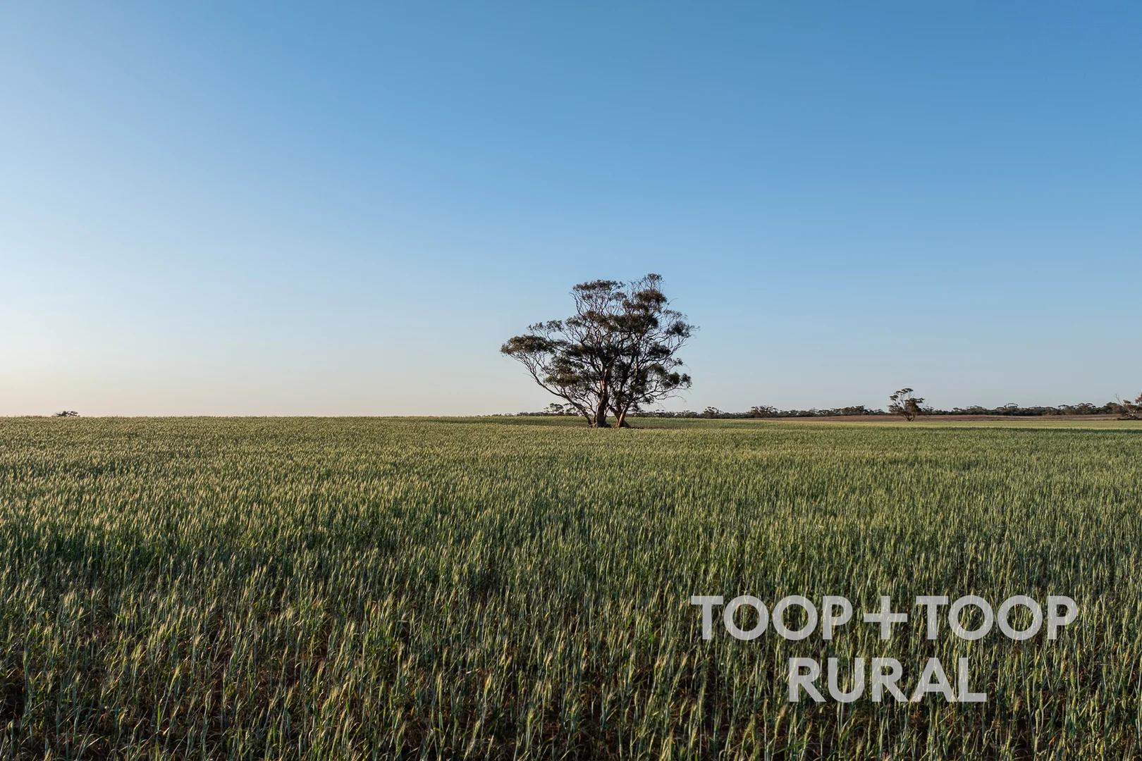 Additional image 3 of 499 Murbko Road, Murbko SA 5320