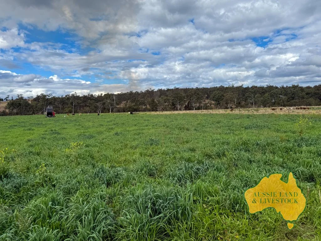 Additional image 58 of 250 Heights Road, Nanango QLD 4615