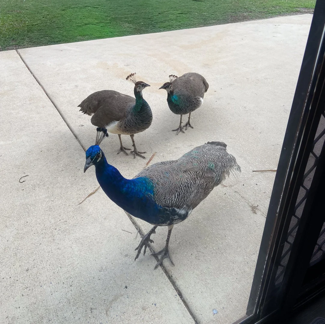 Additional image 25 of 182 Rafting Ground Road, Agnes Water QLD 4677