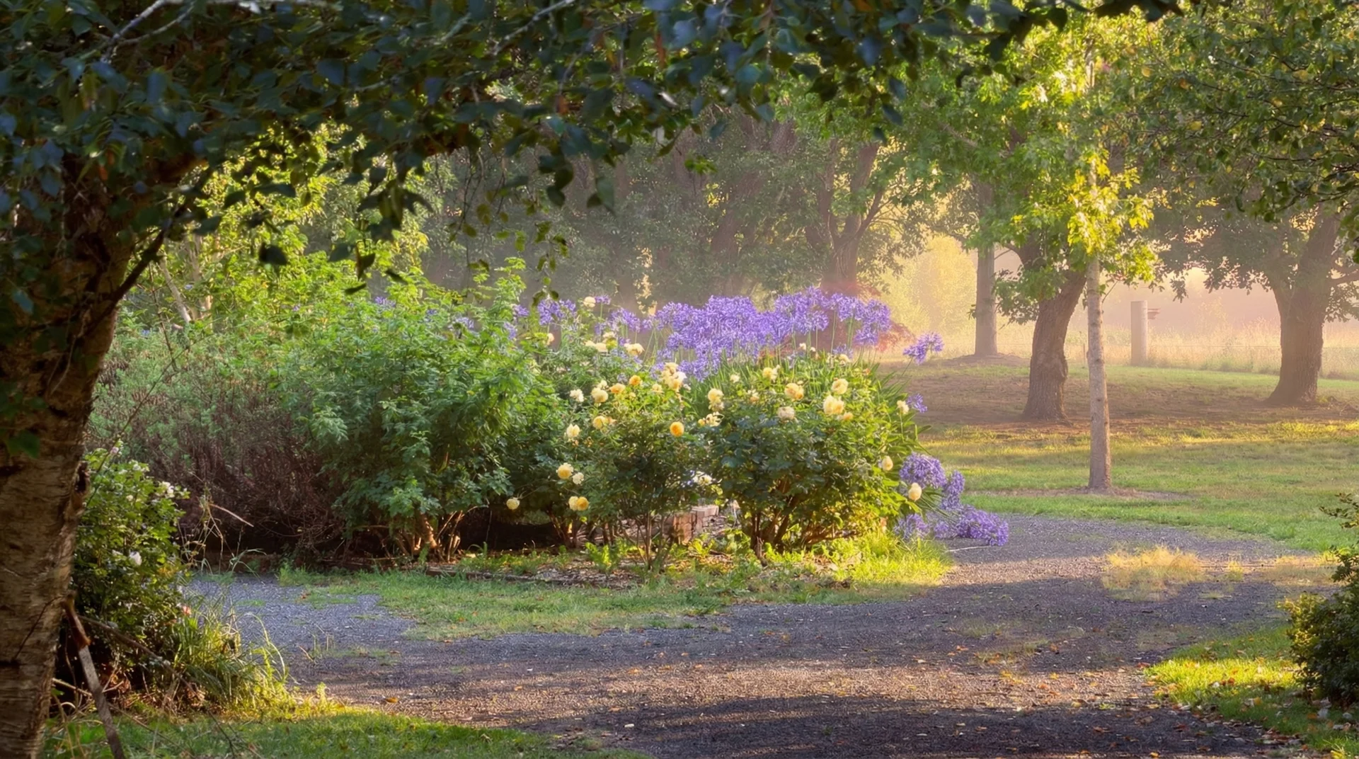 Additional image 15 of 254 Mount Broughton Road, Werai NSW 2577