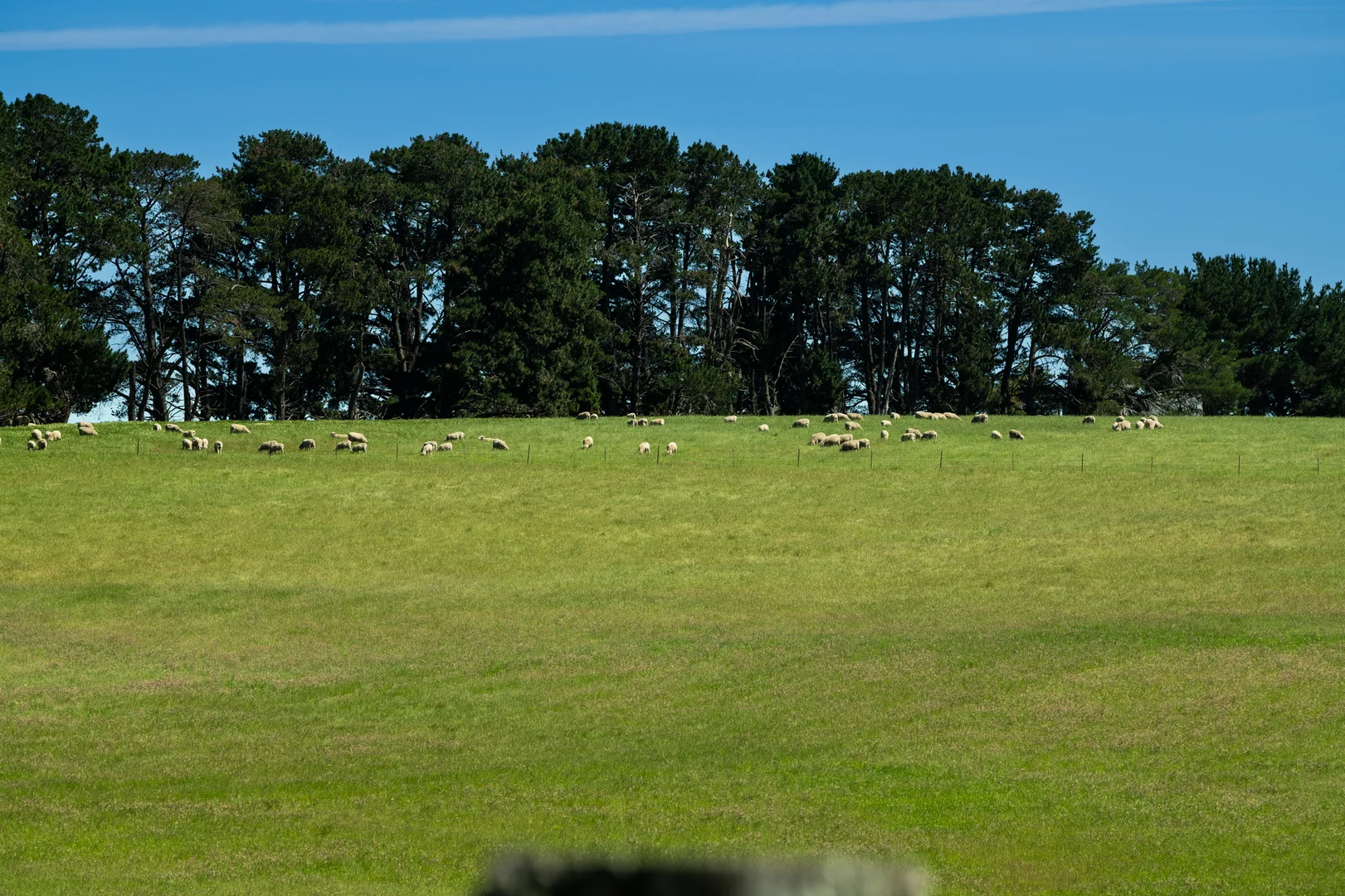 Additional image 16 of 21 Bolong Road, Golspie NSW 2580