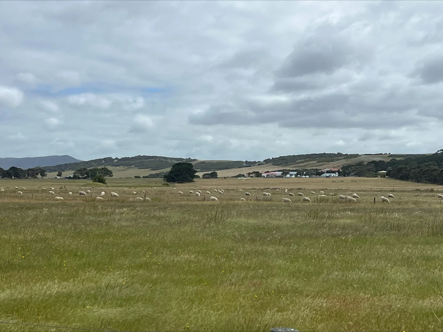 Additional image 20 of Lot 1, 22 Baileys Lane, Whitemark TAS 7255
