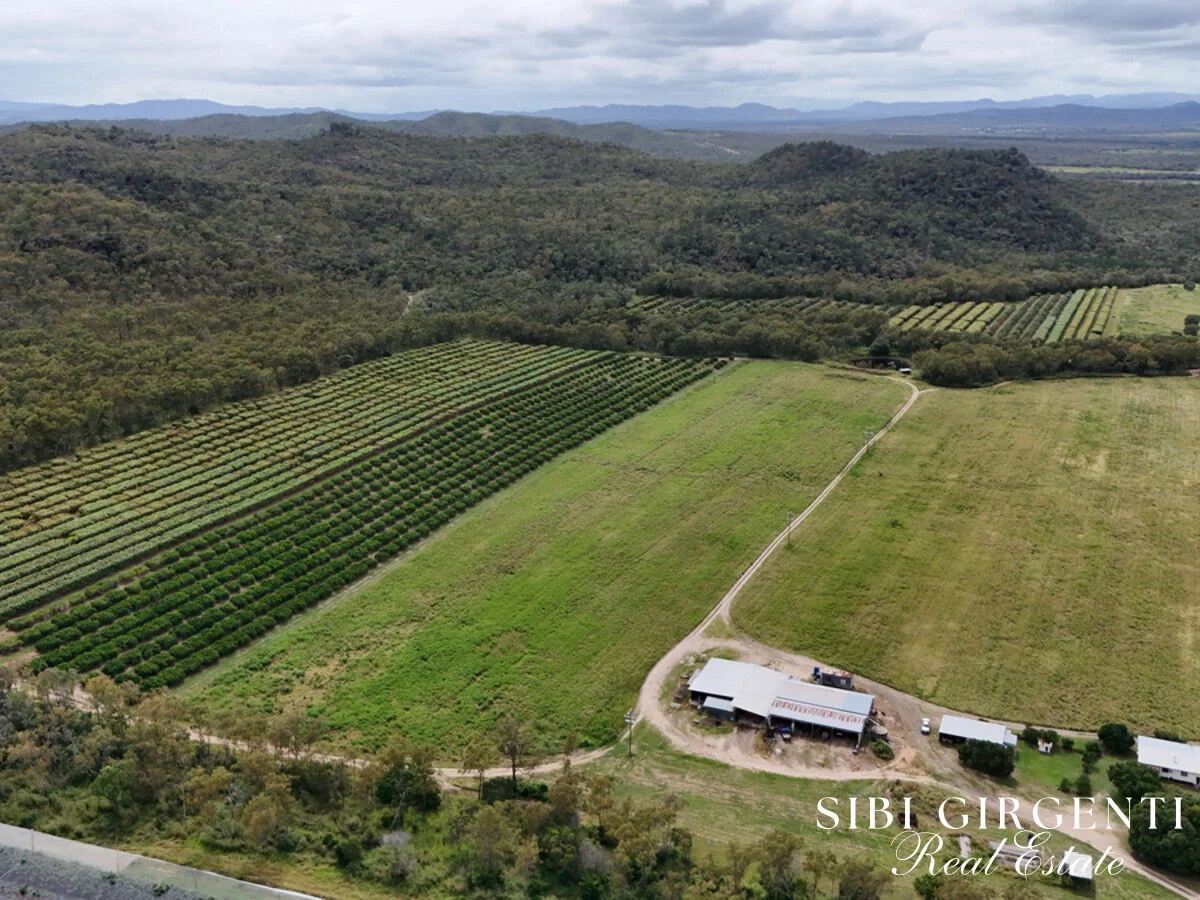 Additional image 32 of 78 Fabris Road, Dimbulah QLD 4872
