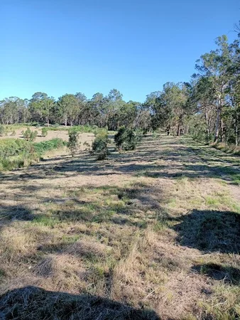 Additional image 20 of 702 Comboyne Road, Byabarra NSW 2446