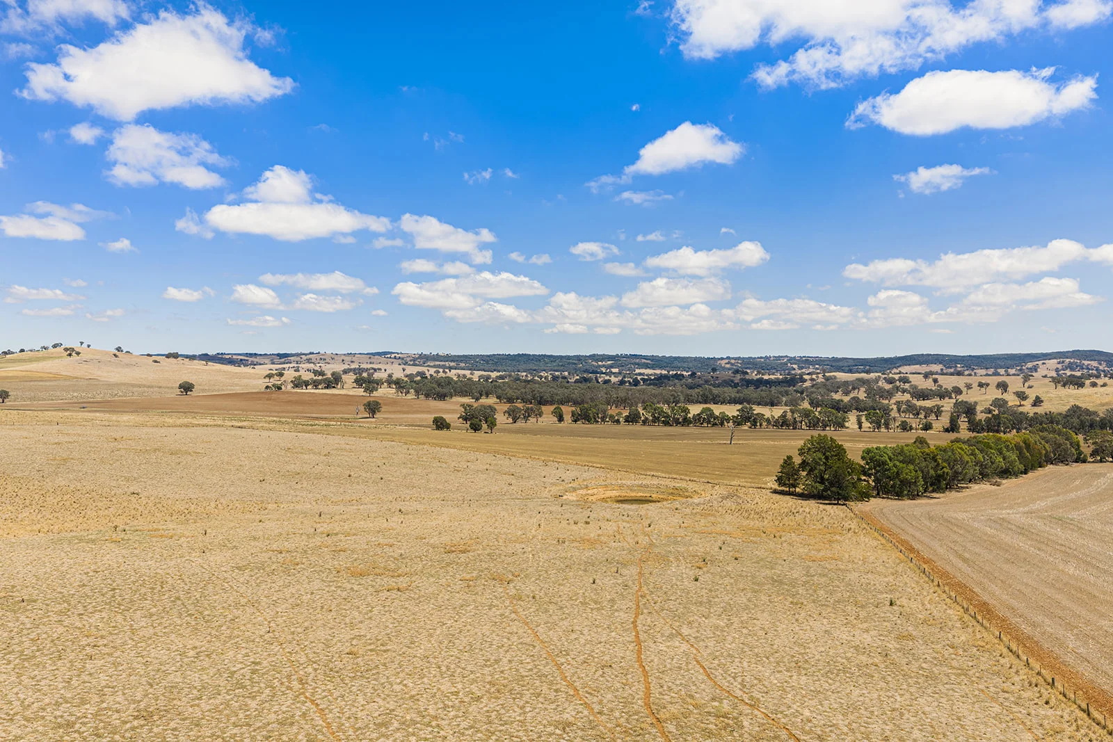 Additional image 4 of 3818 Lachlan Valley Way, Godfreys Creek NSW 2586