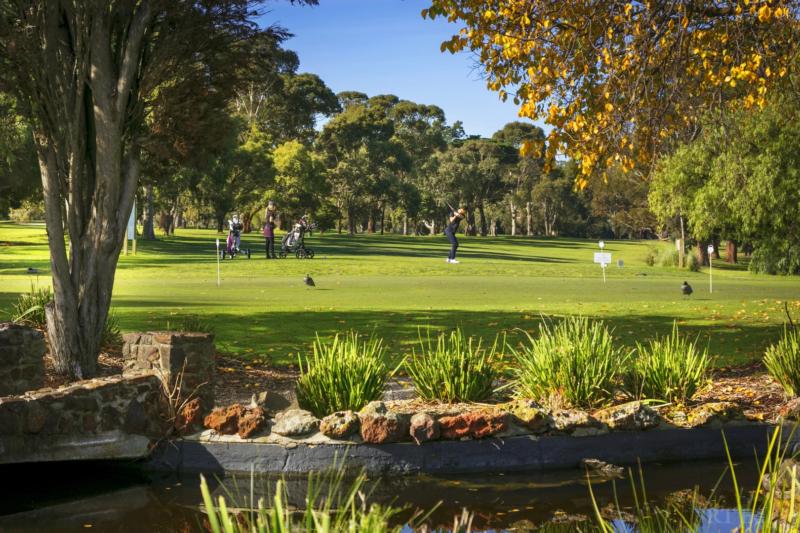 Additional image 5 of 82 Wills Street, Kew VIC 3101