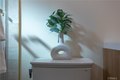 Additional image 44 of 2705 E Orange Grove Ave, Orange, CA, 92867