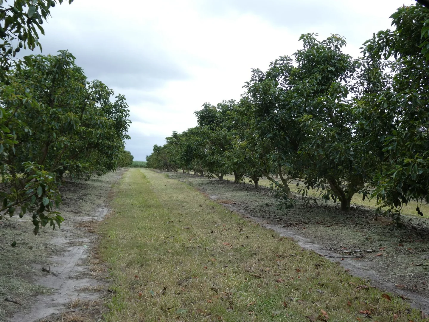 Additional image 10 of 154 Foleys Road, North Gregory QLD 4660