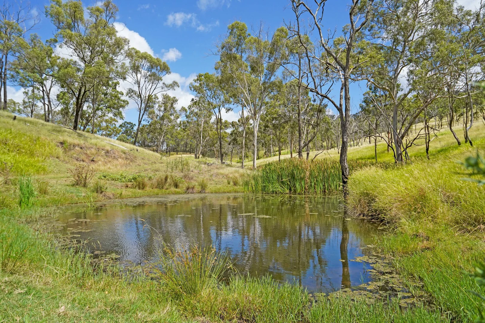 Additional image 19 of "PARADISE" 256 Paradise Road, Mount Sylvia QLD 4343