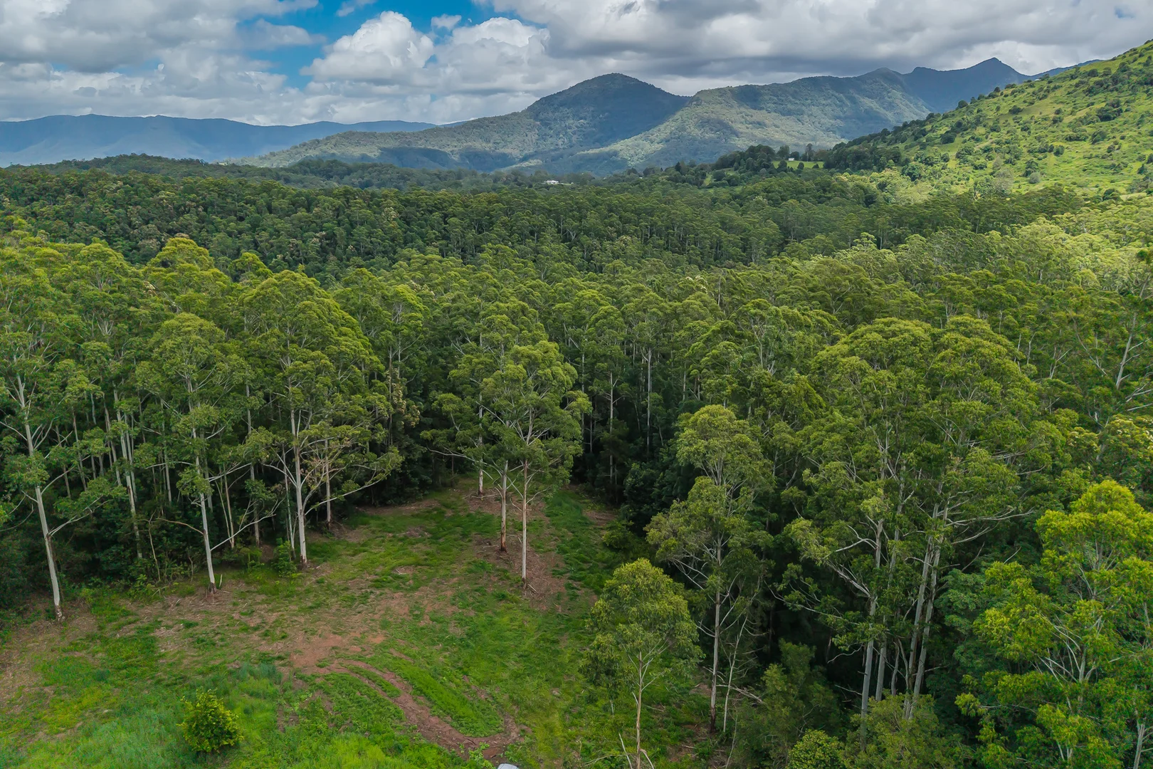 Additional image 8 of 270 Zara Road, Zara NSW 2484