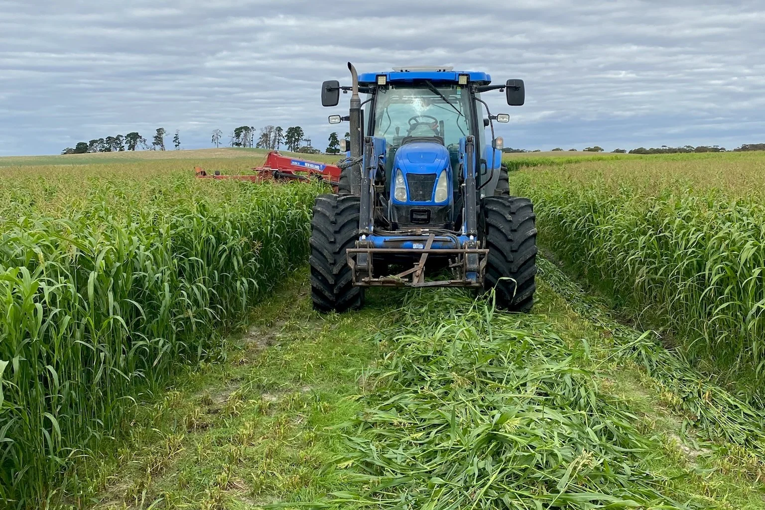 394 Coombe Road, Tintinara SA 5266