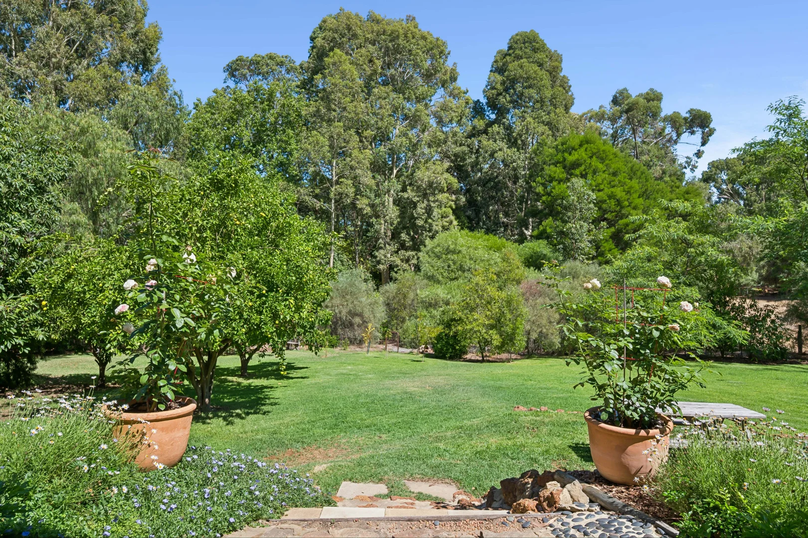 Additional image 22 of 26 Rhodes Place, Jarrahdale WA 6124