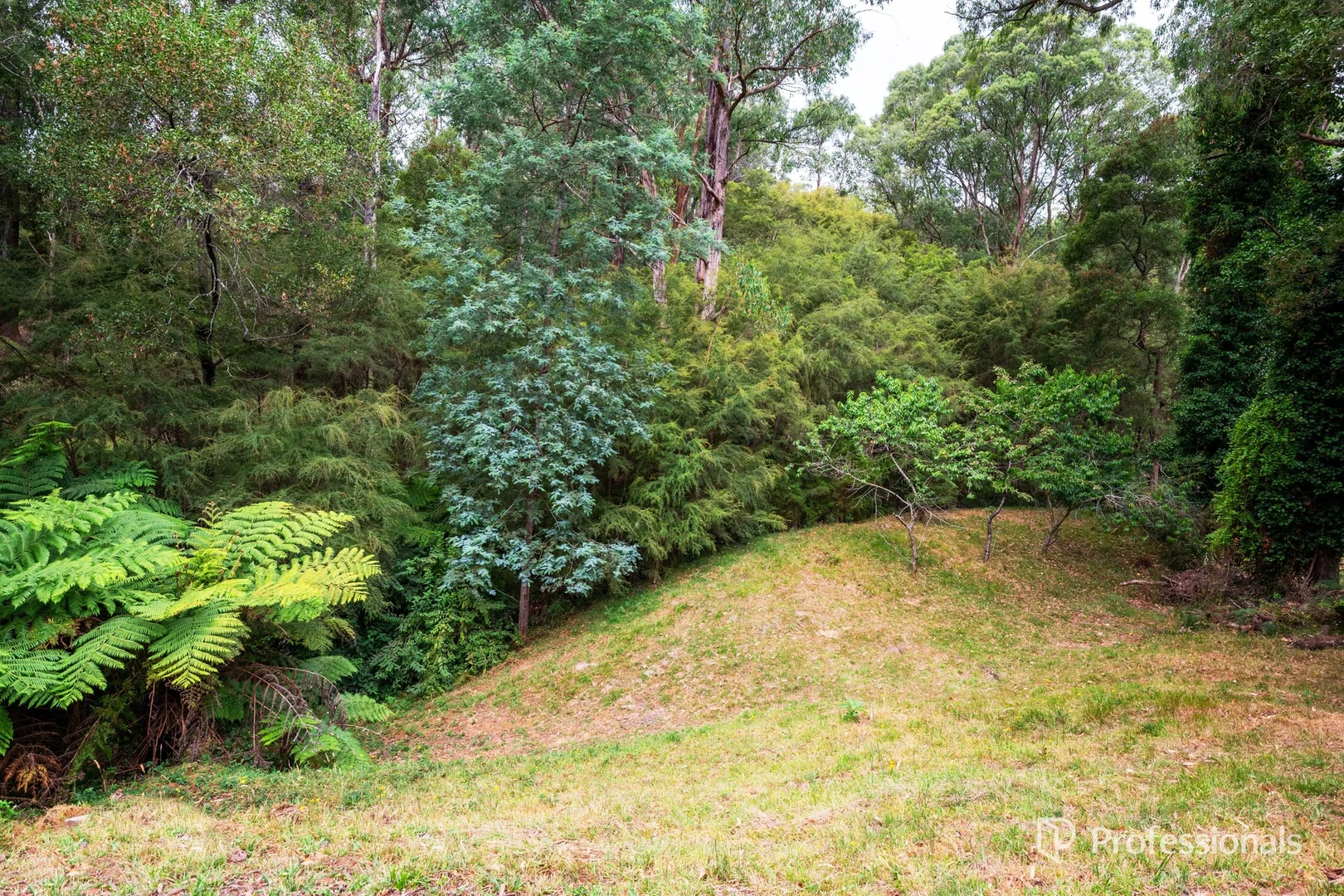 Additional image 24 of 492 Woods Point Road, East Warburton VIC 3799