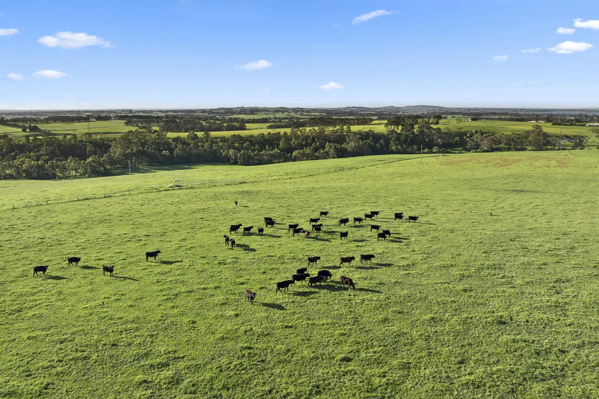 Additional image 18 of Christies Road, Elliminyt VIC 3250