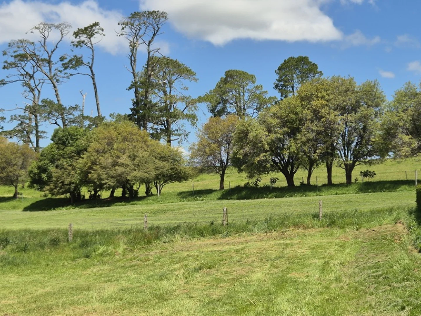 Additional image 9 of 17 Cofton Close, Dorrigo NSW 2453