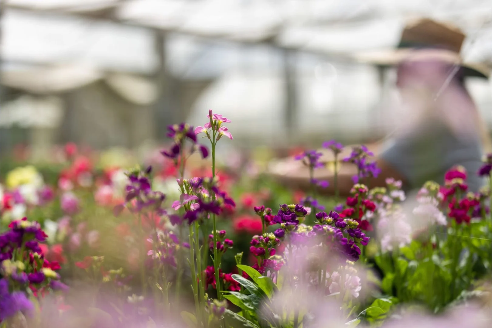 Additional image 48 of 319 Highlands Road, Eudlo QLD 4554