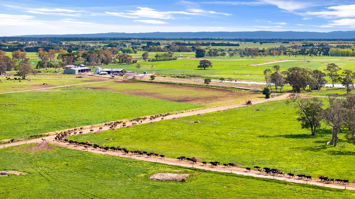 Additional image 15 of 95 Vardys Road, Riverslea VIC 3860