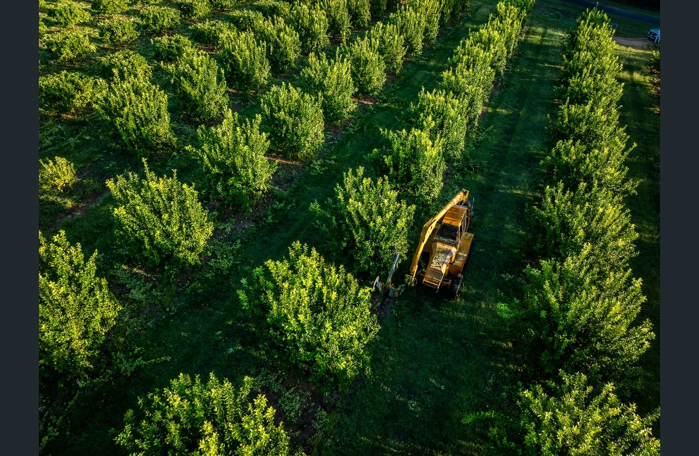 Additional image 12 of 85 Schincariol Road, Dimbulah QLD 4872