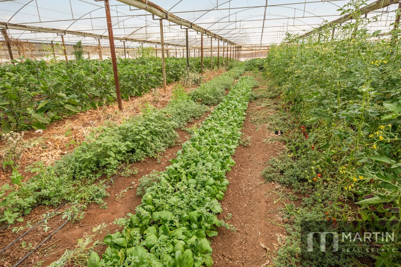 Additional image 35 of 460 Womma West Road, Penfield Gardens SA 5121