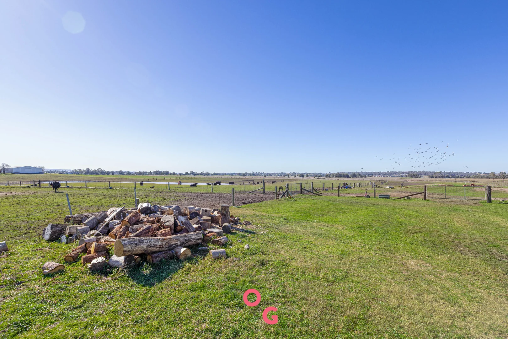 Additional image 26 of 322 Louth Park Road, Louth Park NSW 2320