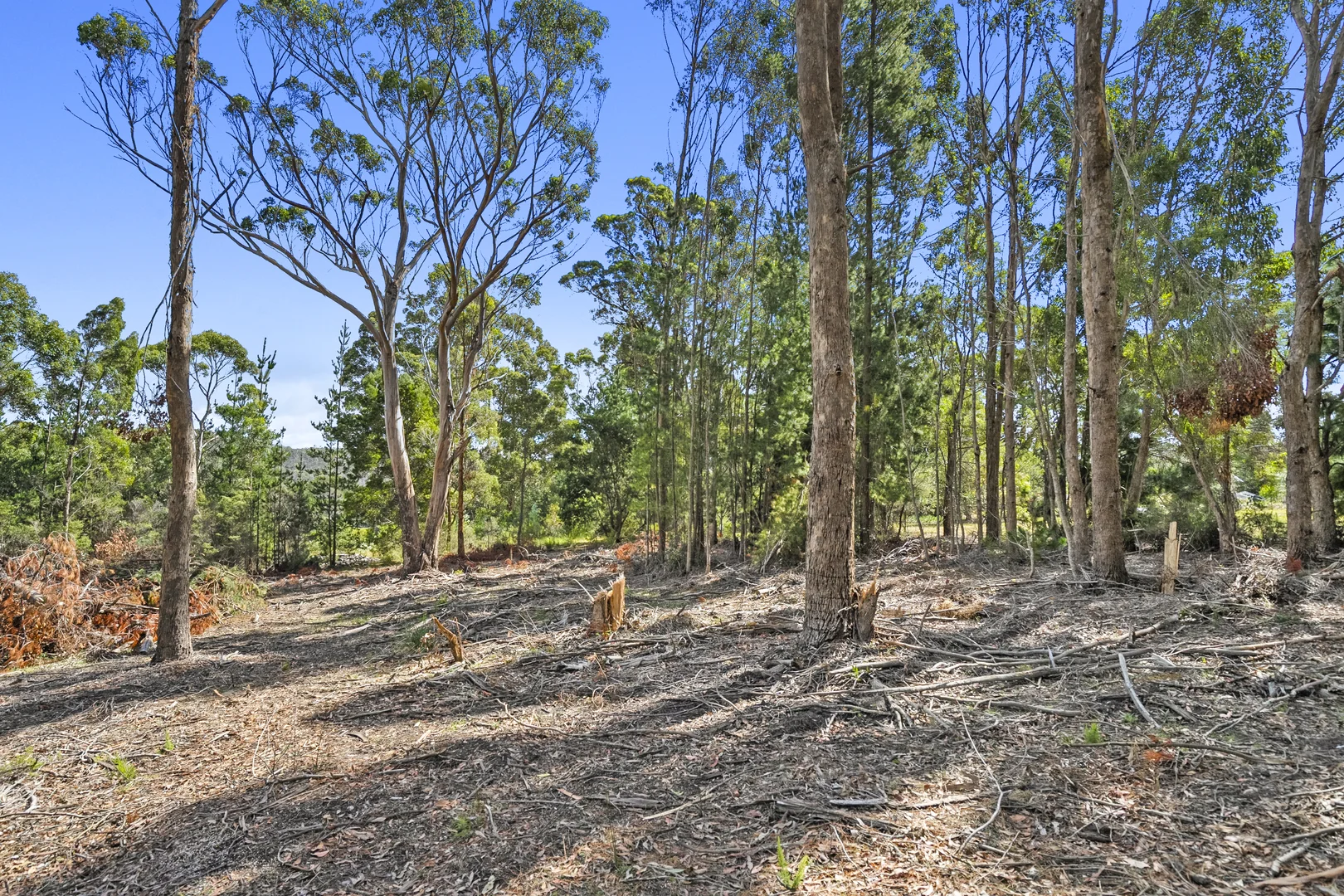 Additional image 8 of 12 Lillian Street, Taranna TAS 7180