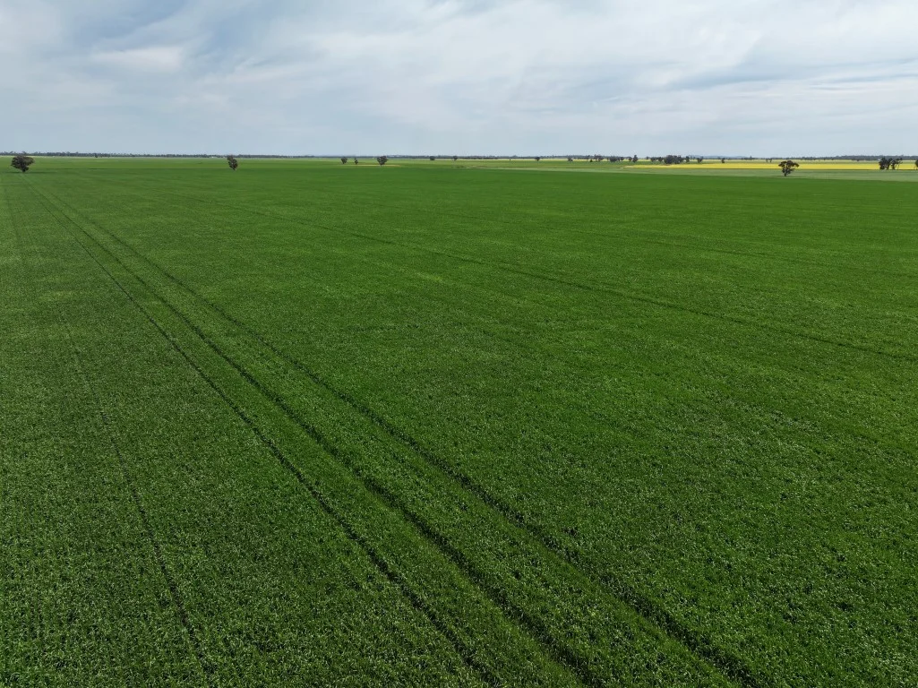 Additional image 9 of 849 Brushwood North Rd, Coolamon NSW 2701