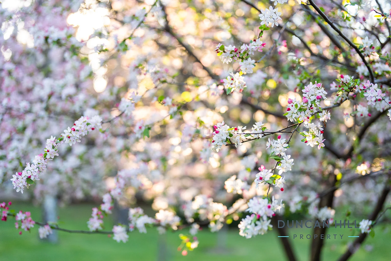 Additional image 15 of 13 Nerang Street, Burradoo NSW 2576