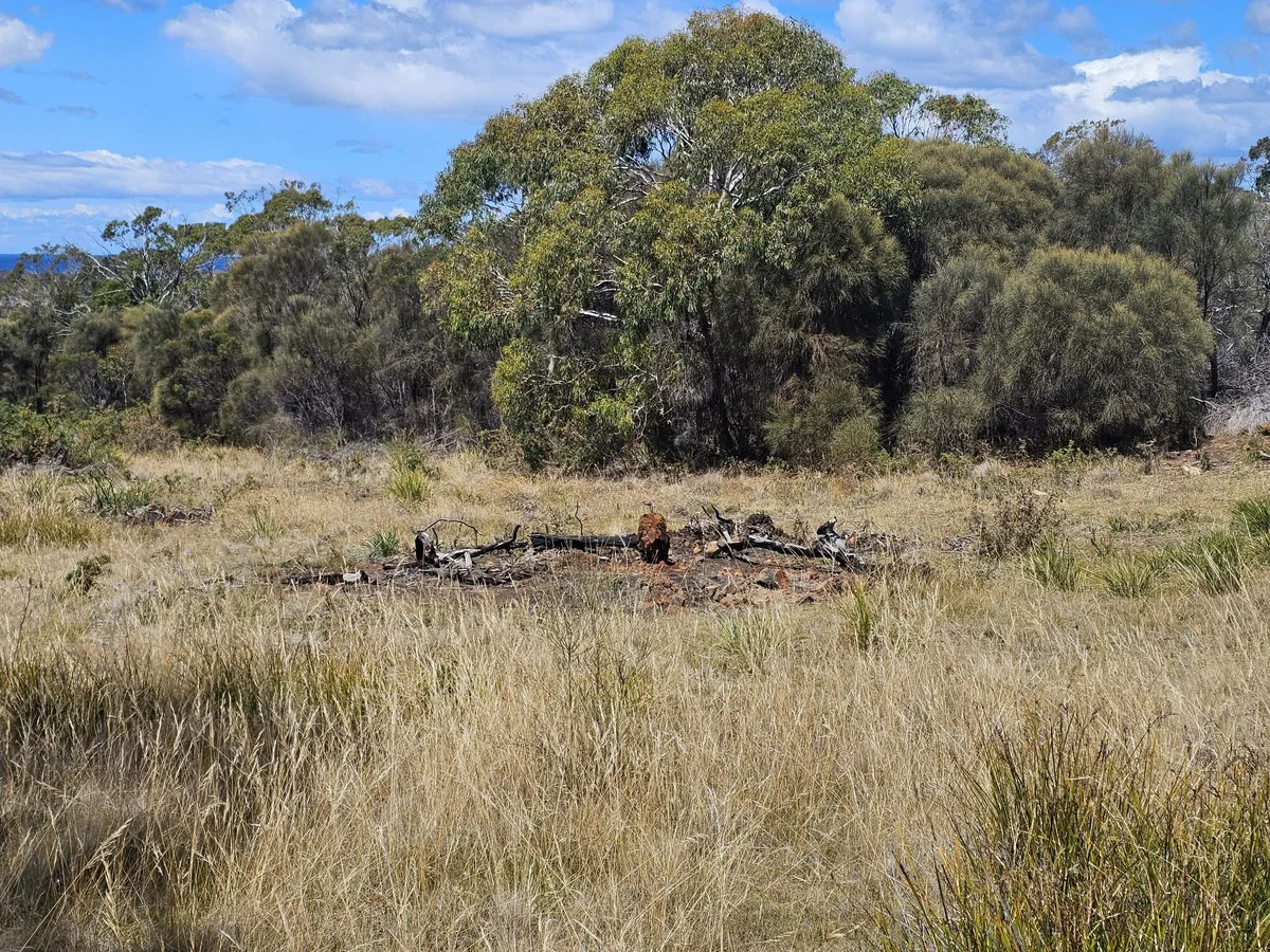 Additional image 3 of 3/5 Addison Street, Swansea TAS 7190