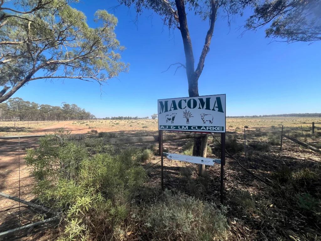 603 Charcoal Tank Road, West Wyalong NSW 2671