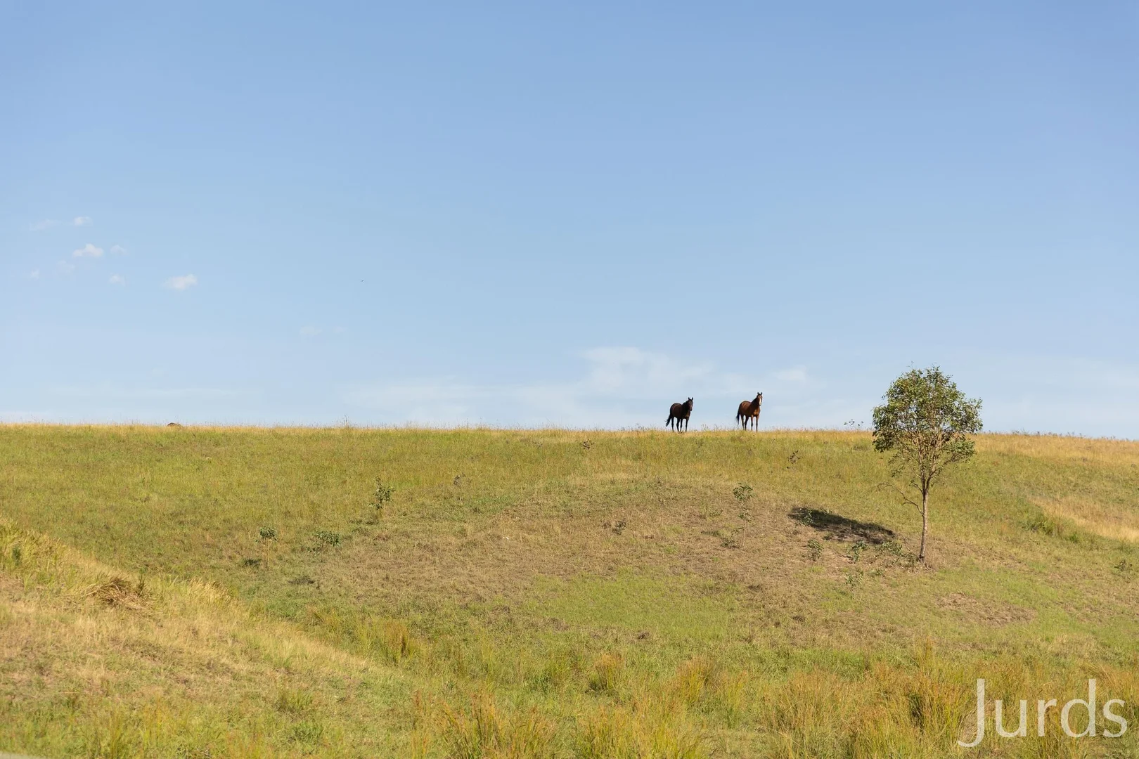 Additional image 18 of 232C Fernhill Road, Dalwood NSW 2335