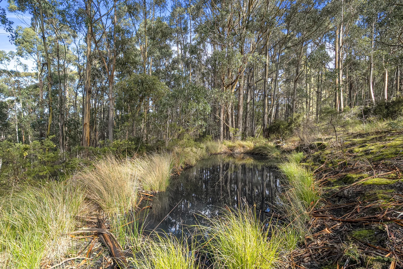 Additional image 9 of Lot 1 Longmans Road, Snug TAS 7054