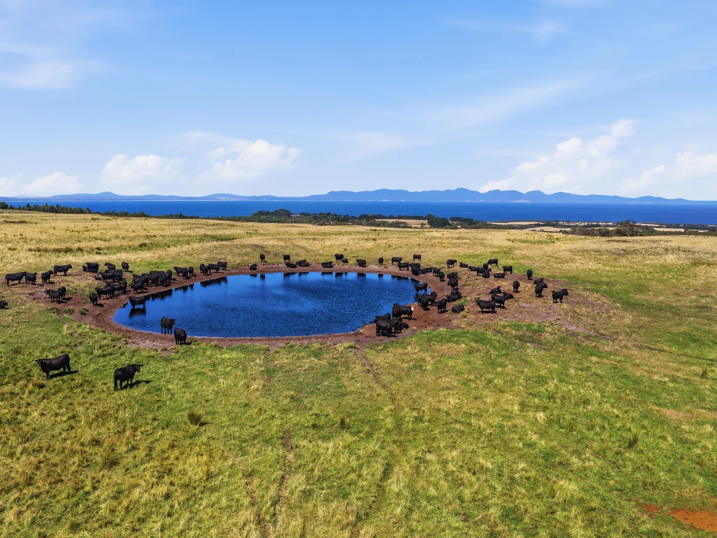 Additional image 7 of 40 Walkerville South Road, Tarwin Lower VIC 3956