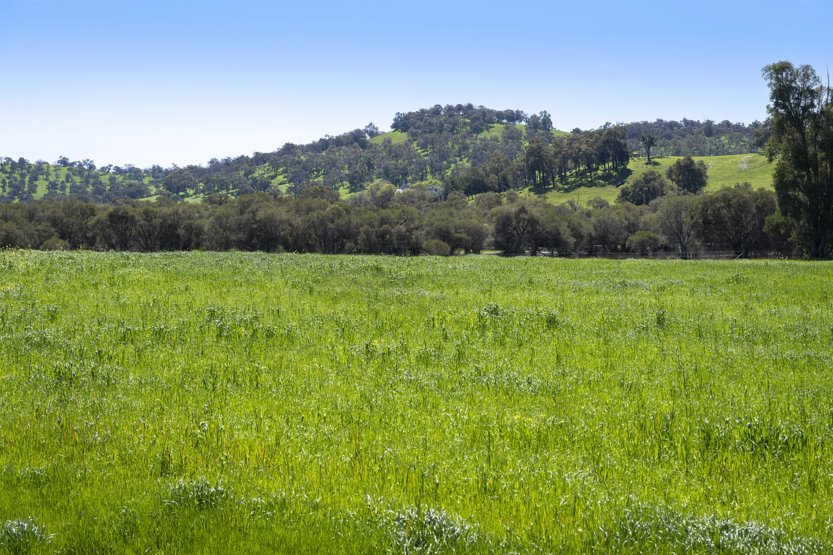 Additional image 11 of 54 Chittering Valley Road, Lower Chittering WA 6084