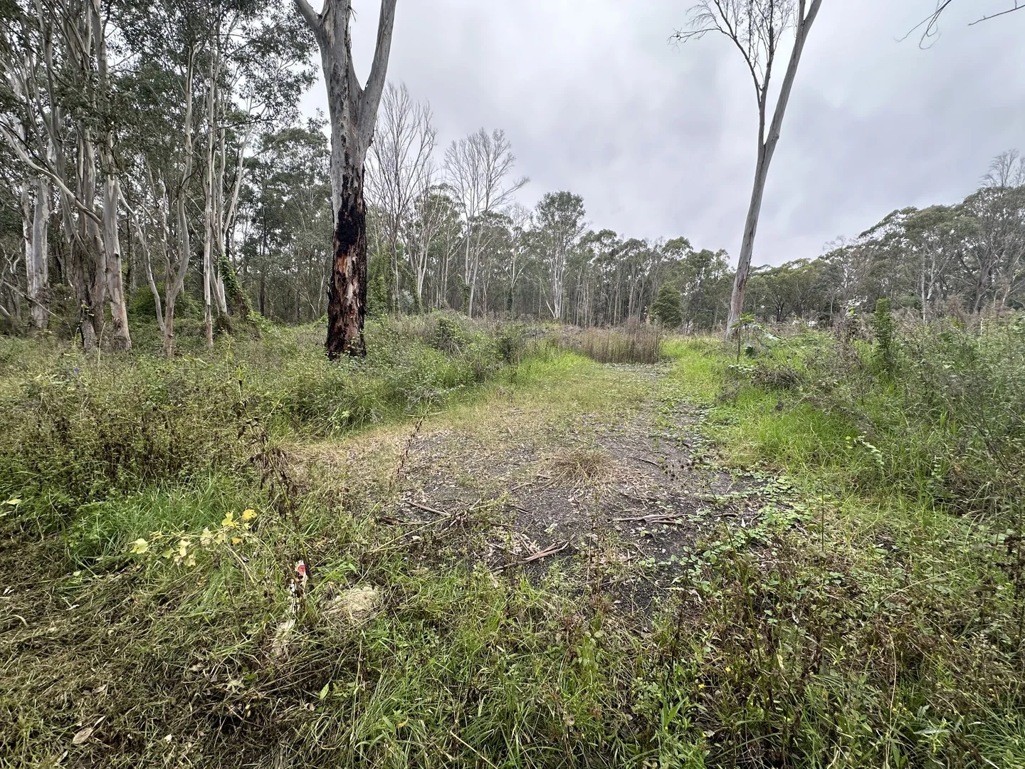 Additional image 3 of Lots 40 & 41 Princes Street, Grantham Farm NSW 2765