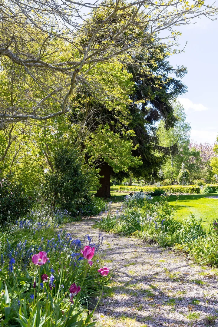 Additional image 31 of 13 East Barrack Street, Deloraine TAS 7304