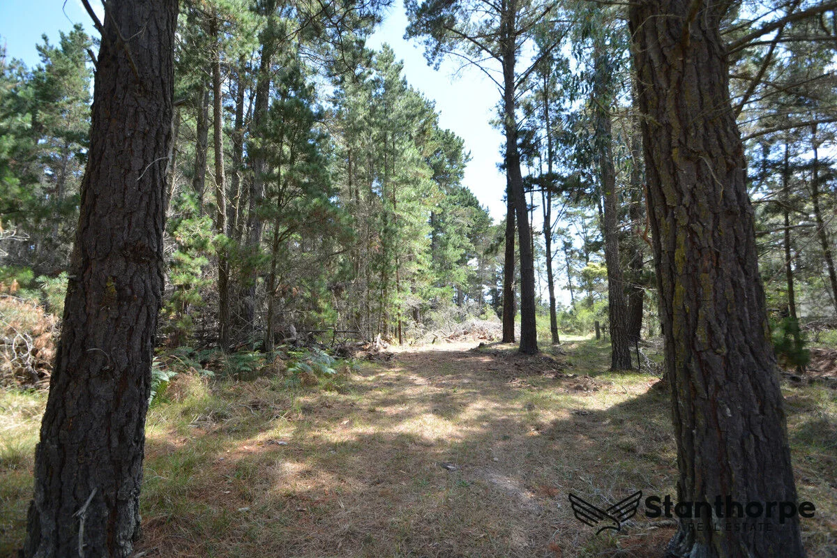 Additional image 24 of 240 Panoramic Drive, Sugarloaf QLD 4380