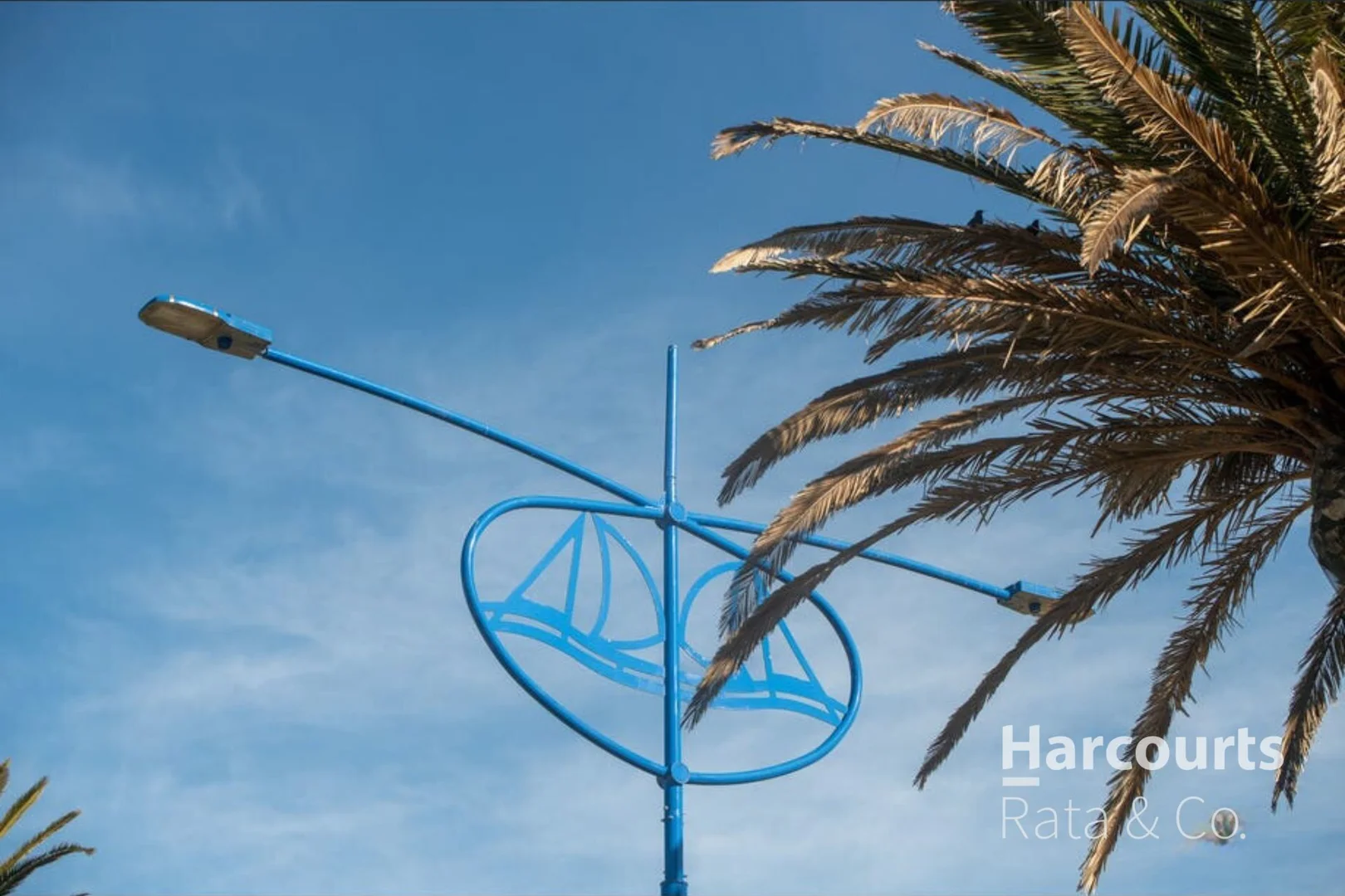 Additional image 5 of 25 Georgina Avenue, St Leonards VIC 3223