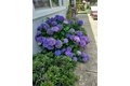 Additional image 36 of 2805 Granite Park Ln, Elk Grove, CA, 95758