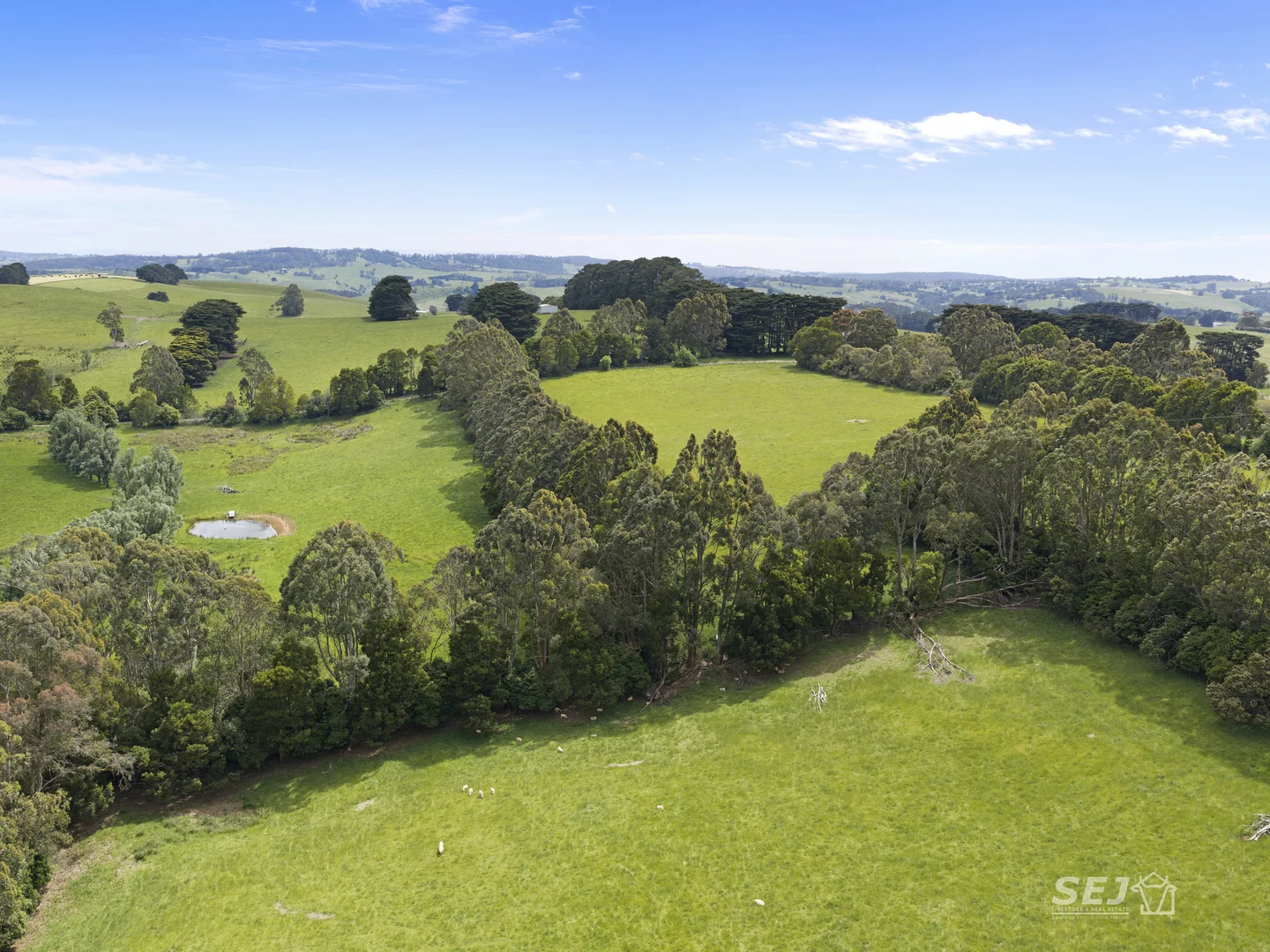 Additional image 14 of 105 Holmes Road, Mardan VIC 3953